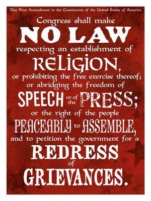 First 1st Amendment | First Amendment Squid Squad, Mother Earth Father Sky, Cool Poster Designs, Christian Culture, V Alphabet, Freedom In Christ, Freedom Of The Press, Freedom Of Religion, Design Inspiration Graphic