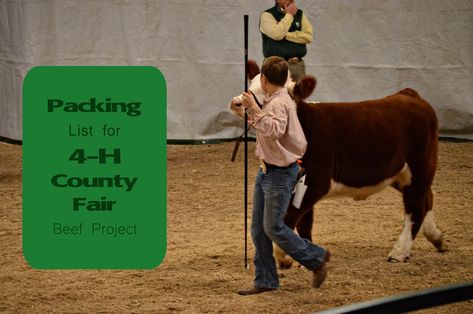 Packing list for 4-H county fair Fair Packing List, Livestock Show Packing List, Cattle Judging, Beef Showmanship, Ciara Renee, Miniature Hereford, 4h Fair, Ag Classroom, Fair Week