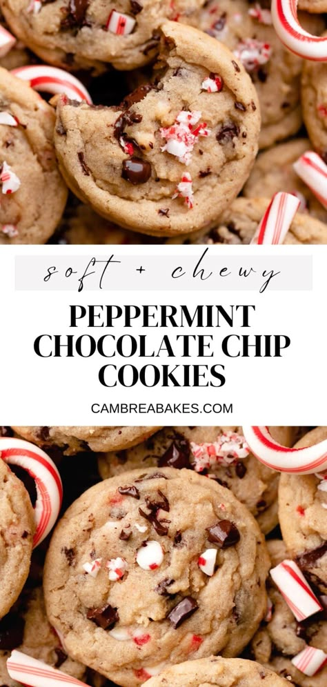 These peppermint chocolate chip cookies are a holiday twist on a classic chocolate chip cookie! Loaded with candy cane pieces and lots of chocolate chips, they are sure to be your new favorite Christmas cookie. Peppermint Chocolate Chip Cookies, Bbq Dessert, Peppermint Chocolate, Christmas Baking Recipes, Christmas Food Desserts, Christmas Snacks, Christmas Cooking, Baking Sweets, Chocolate Peppermint