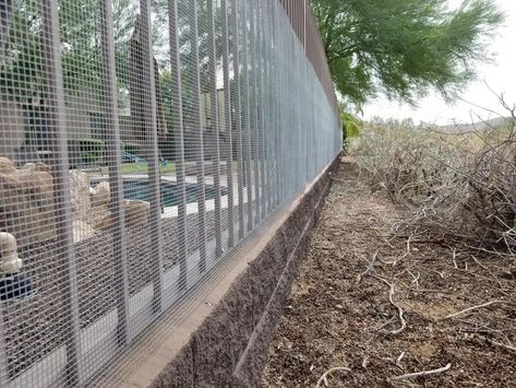 Photo Galleries — AZ Snake Fence Snake Proof Fence, Dog Yard Fence, Snake Fence, Landscaping Walls, Iron Fencing, Shed Home, Dog Yard, Security Fence, Fencing & Gates