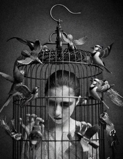 Birds/birdcage Theme Tattoo, Photographie Portrait Inspiration, Personality Disorder, Bukowski, Living Life, Pics Art, Surreal Art, Life Skills, The Words