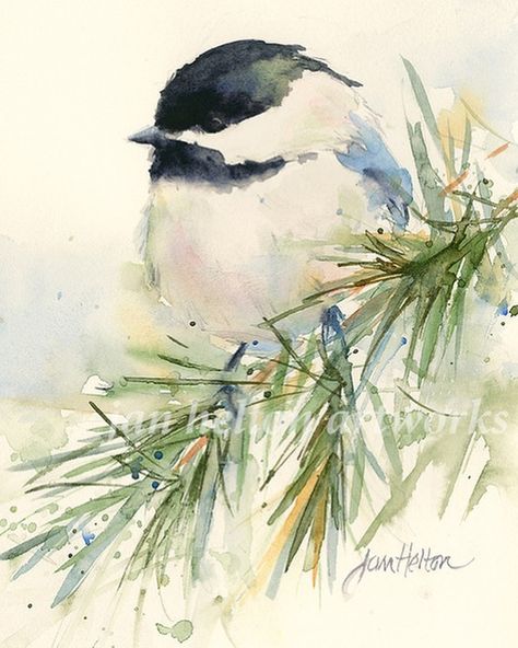 Watercolor Chickadee Tutorial, Watercolor Cute Animals, Christmas Painting Activities, Winter Birds Painting, Watercolor Paintings Winter, Winter Watercolor Paintings Easy, Louisiana Birds, Winter Watercolors, Watercolor Practice