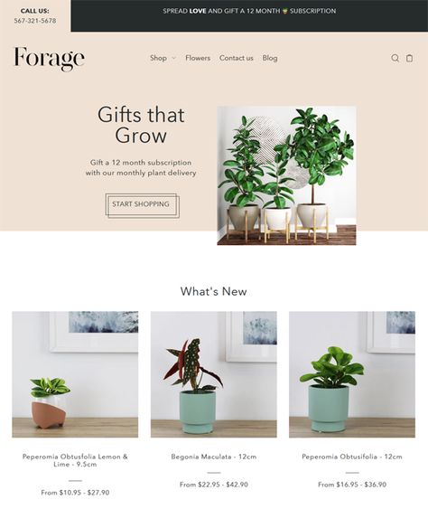 How Shopify Can Help You Build An Online Plant Store - foodie grow plant flower florist shopify theme Selling Plants, Online Store Design, Begonia Maculata, Plant Store, Cross Selling, Plant Delivery, Flower Store, Plant Flower, Buy Plants