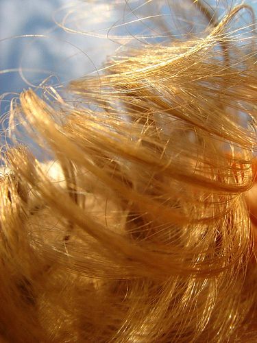 Gold hair in the sunlight, my light in the dawn... Fleet Foxes, Norse Myth, James Joyce, Golden Hair, Hair Aesthetic, Yellow Hair, Nancy Drew, Golden Blonde, The Midnight