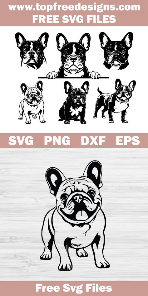 French Bulldog Svg Free, Frenchie Svg Free, Free Dog Svg, Frenchie Svg, French Bulldog Silhouette, French Bulldog Svg, French Bulldog Mix, Bulldog Svg, Heat Transfer Vinyl Projects