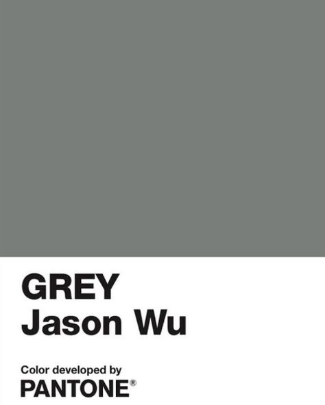 Jason Wu, Pantone Color, Karl Lagerfeld, Mood Boards, Vogue, Grey, Color