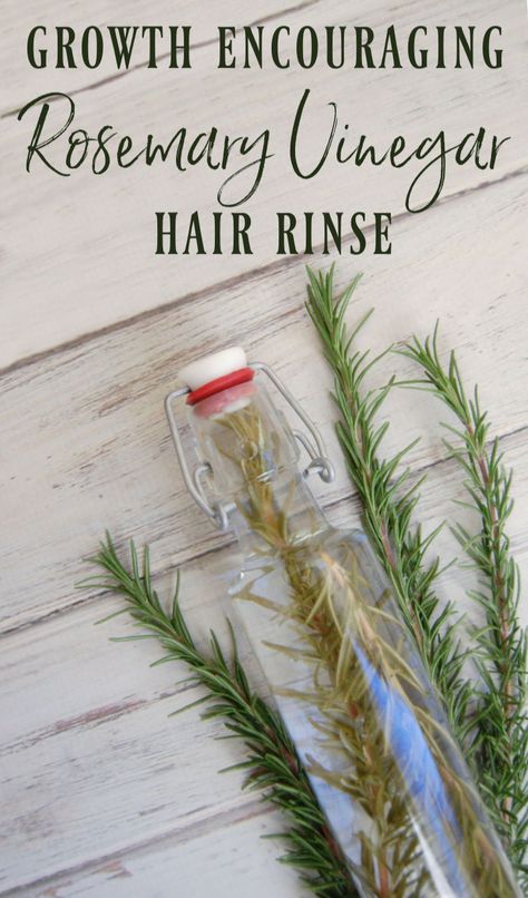 Rosemary Vinegar, Hair Rinse Recipe, Rosemary For Hair, Vinegar Hair Rinse, Vinegar For Hair, Rosemary Hair, Herbal Skin Care, Diy Shampoo, How To Dry Rosemary