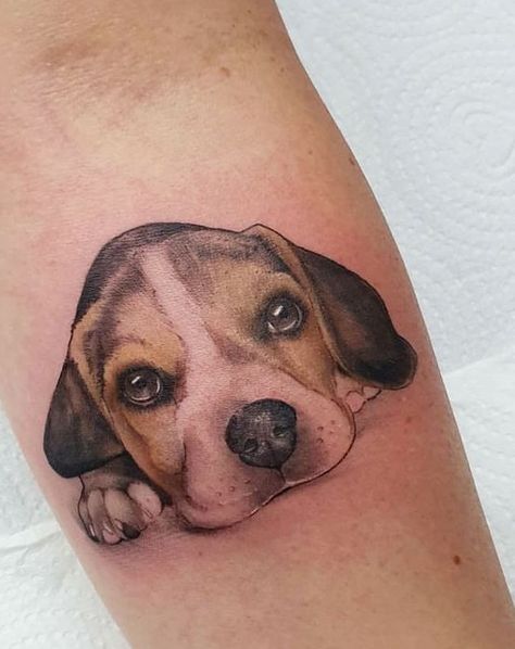 The 24 Lovely Beagle Tattoo Designs In The World - Page 3 of 8 - The Dogman Melina Tattoo, Pet Portrait Tattoos, Beagle Tattoo, Small Dog Tattoos, Stained Glass Tattoo, Beagle Art, Portrait Tattoos, Coffee Cup Art, Different Artists