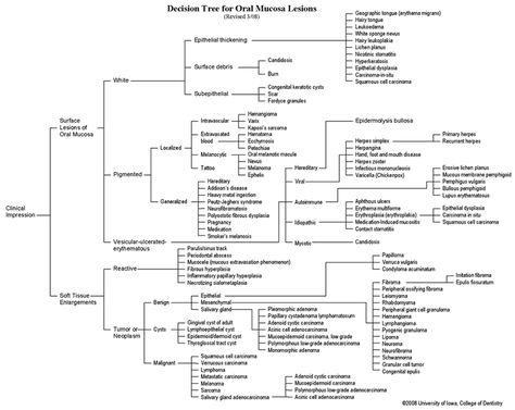 Decision Tree for Oral Mucosal Lesions Dental Charting, Oral Pathology, Differential Diagnosis, Dental Hygiene School, Decision Tree, Periodontal Disease, Patient Education, Medical Anatomy, Dental Hygienist