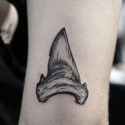 This i could actually see getting Shark Tooth Tattoo, Tooth Tattoo, Necklace Tattoo, Armband Tattoo Design, Shark Tattoo, Muster Tattoos, Shark Tattoos, Sketch Tattoo Design, Sketch Tattoo