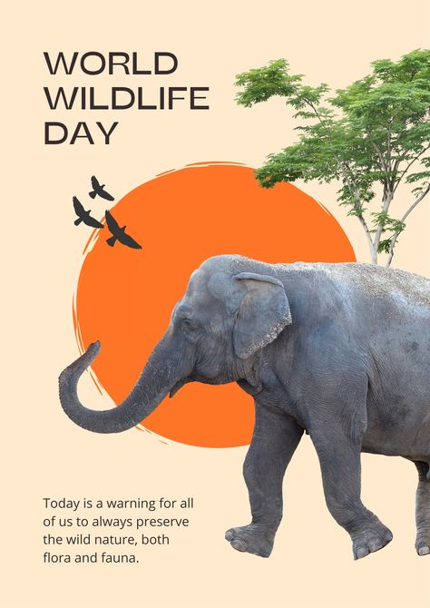 World Elephant Day Poster, Safari Poster Design, Save Animals Poster Design, Jiji Background, Animal Day Poster, Wildlife Day Poster, Zoo Advertising, Wildlife Infographic, Zoo Poster Design