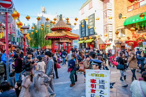 Sydney’s Chinatown offer superb food, exciting festivals and charming shops and markets, many of them tucked away. Chinatown Sydney, The Gold Rush, City Island, Frequent Flyer, Usa Beaches, Australian Wildlife, Surf Lesson, Floating In Water, South Pacific