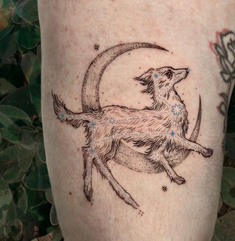 Canis Major Constellation design for Kellen, thank you for the trust 🩵 #constellationtattoo #dogtattoo #moontattoo #illustrationtattoo… | Instagram Back Of Legs Tattoo, Dog Constellation Tattoo, Year Of The Dog Tattoo, Laika Tattoo, Sirius Constellation Tattoo, Canis Major Tattoo, Sirius Star Constellations Tattoo, Astral Tattoos, Stella Luna Tattoo