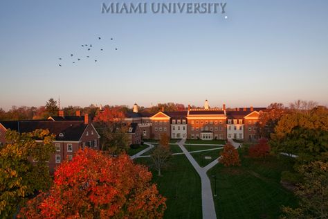 Campus in the Fall- Miami University Miami University Ohio, Miami Ohio, College Visit, Miami University, College Aesthetic, Ohio University, University Of Miami, College Campus, University Campus