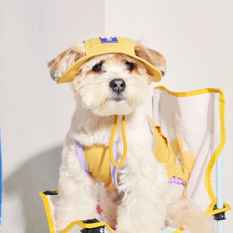 Do you like my new hat?😆🌞 #fluffymonsters #doghat #dogfashion #doghats #dogclothes #koreanbrand #doglover #doglife #dogsofvancouver #dogbrand #dog #dogs #summer #summergear Dog Fashion, Dog Branding, Korean Brands, Dog Hat, Clothes Accessories, Dog Life, Dog Clothes, Dog Lovers, Pet