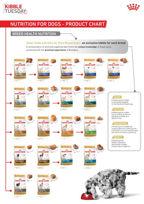 Know the right nutrition to give your dogs with Royal Canin product chart. Dog Nutrition Homemade, Nutritional Yeast Benefits, Make Dog Food, Pregnant Dog, Dog Nutrition, Dog Diet, Royal Canin, Nutrient Rich Foods, Nutrition Guide