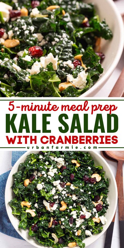 A spring salad idea for beginners! Your Memorial Day dinner recipes must have this kale cranberry salad. In just 5 minutes, you can have this easy kale salad with cranberries, lemon, and nuts! Red Kale Salad, Spinach And Kale Salad, Kale Recipes Salad, Kale Cranberry Salad, Memorial Day Dinner, Spring Recipes Vegetarian, Easy Kale Salad, Kale Feta, Salad With Cranberries