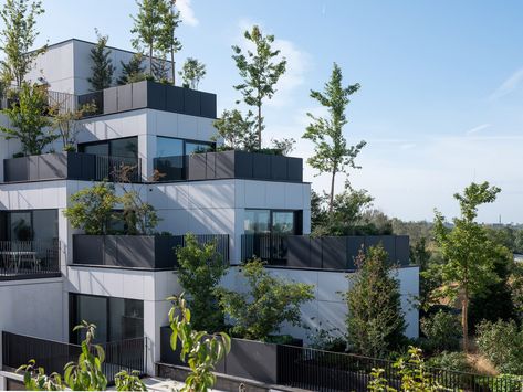 Stefano Boeri Architetti covers Palazzo Verde in Antwerp with greenery Stefano Boeri, Vertical Forest, Concrete Facade, Social Housing, Building Exterior, Eco House, Brutalism, Green Roof, Residential Building