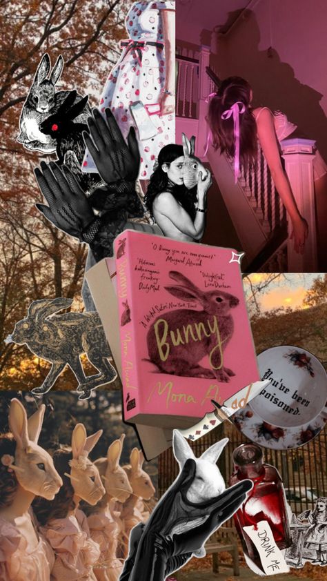 Bunny Mona Awad, Mona Awad, Bunny Book, $b Wallpaper, Tumblr Wallpaper, Just Girly Things, Book Characters, Book Aesthetic, Girly Things