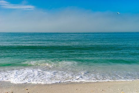 Situated in the Northern Region of St. Pete, you'll find the gorgeous blue waters of Upham Beach Park. Peaceful Family, St Pete Florida, Beach In Florida, A Secret Garden, Calm Waters, Tampa Bay Area, St Pete Beach, Hidden Beach, Beach Park