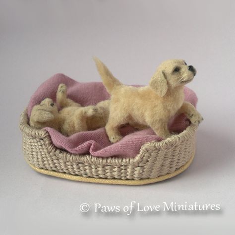 Doll House Pets, House Pets, Mini Doll House, Doll House Crafts, Dollhouse Ideas, Fantasy Art Dolls, Miniature Dogs, Small Stuff, Felt Projects