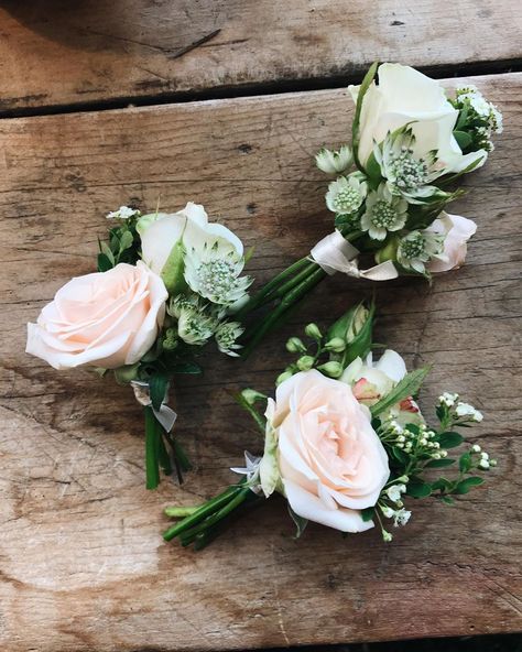 Grace [Bramble & Wild] on Instagram: “The cutest little bouts of Jana & Porcelina spray roses from Saturday. - #boutonniere #buttonhole #somersetwedding #blushpinkwedding…” Rose Buttonhole, Blush Pink Weddings, Blush Rose, Button Hole, Spray Roses, Bramble, Wedding Mood Board, Blush Roses, Wild Flower