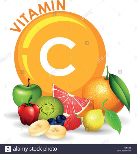 Download this stock vector: A Set of High Vitamin C Fruit illustration - P7N1D3 from Alamy's library of millions of high resolution stock photos, illustrations and vectors. Vitamin D Side Effects, Pharmacy Art, Vitamin C Foods, Vitamin A Foods, Food Png, Gummy Vitamins, Fat Soluble Vitamins, Fruit Illustration, Small Balcony Decor