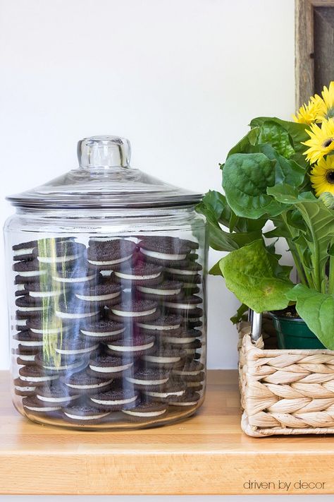 Karadashian cookie jar with stacked Oreos Oreo Cookie Display Ideas, Oreo Display Ideas, Oreos In A Jar Decoration, Cookies In Jars Display, Oreo Cookie Display, Oreo Display, Glass Cookie Jar Decorating Ideas, Oreo Cookie Jar Display, Cookie Jar Aesthetic