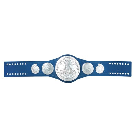 WWE SmackDown Tag Team Championship Wwe Tag Team Championship, World Championship Wrestling, Nxt Takeover, Championship Belt, Wwe Smackdown, Tag Team, Color Tag, Wwe, Wrestling