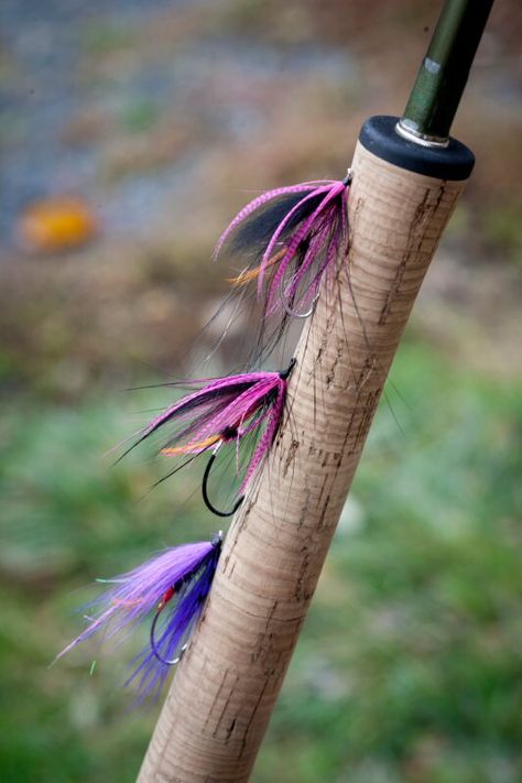 Flies — The Clearwater Steelhead Syndicate Steelhead Fishing, Hair Wings, Steelhead Flies, Saltwater Flies, Fly Fishing Rods, Salmon Flies, Fly Tying Patterns, Fly Tying, The Lady