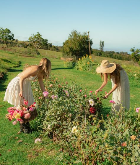 Picking flowers with Makena and Smilla at @kulafarmflowers in collaboration with @apuakeas.flowers From our Boots & Blooms package inspired by Maui’s upcountry cowgirls with a floral spin 💐💓 Couple Picking Flowers, Person Picking Flowers, Picking Flowers Pose, Flower Picking Aesthetic, Woman Picking Flowers, If I Had Nine Lives, Girly Activities, Flower Poses, Girls Day Ideas