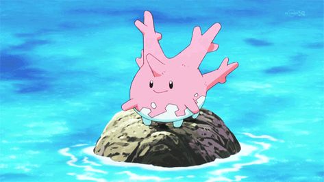 realistic corsola - Google Search Corsola Pokemon, Ice Pokemon, Pokemon Stories, Pokemon Emerald, Water Type Pokemon, Pokemon Gif, Gym Leaders, Water Type, Pocket Monsters