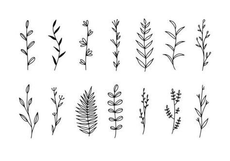 simple vector illustration Doodle settwigs, drawing sprigs of plants drawn by a liner. outline of plants with leaves. graphic design element isolated on white background. 10361082 Vector Art at Vecteezy Simple Plant Illustration, Leaves Graphic Design, Line Art Floral, Botanical Line Art, Illustration Doodle, Line Art Vector, Graphic Design Elements, Floral Leaves, Plant Drawing