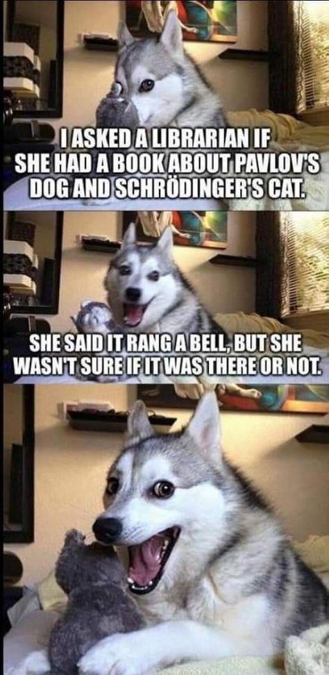 Husky Jokes, Bad Pun Dog, Mr Funny, Dog Puns, Cheesy Jokes, Husky Funny, Dog Jokes, Dad Jokes Funny, Corny Jokes