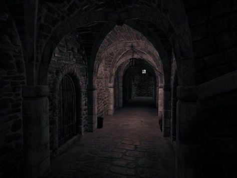 Video Game Wallpapers, Dungeon Aesthetic, Fantasy Dungeon, Hawke Dragon Age, Wammy's House, Dark Castle, Episode Backgrounds, Fantasy Castle, Fantasy Places