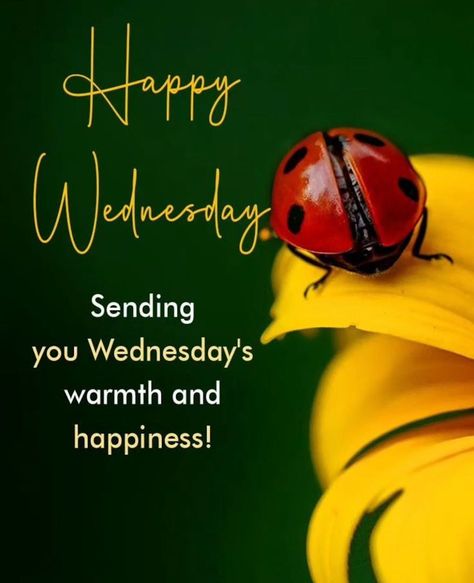 Good morning 🌞 
Have a great day.💋💜 Good Wednesday Morning, Good Wednesday, Good Morning Wednesday, Wednesday Morning, Have A Great Day, Good Morning, Life Quotes, Quotes