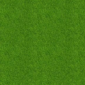 Grass Photoshop, Grass Texture, Green Grass Background, Grass Background, Grass Wallpaper, Grass Pattern, Grasses Landscaping, Background Green, Green Texture