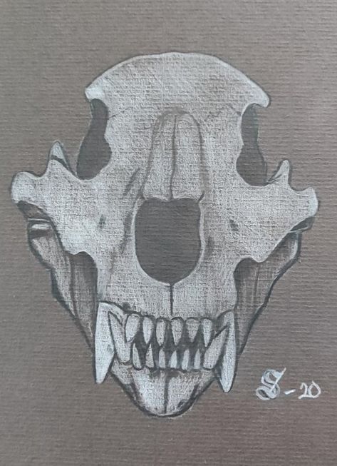 Cool Bear Tattoos, Bear Skull Drawing, Bear Skull Tattoo, Bear Skull, Skull Sketch, Bear Tattoos, Skull Drawing, Viking Tattoos, Skull Tattoos