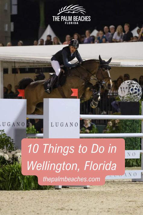 Discover all must-do activities and things to do beyond polo matches and equestrian competitions in Wellington, Florida—the Winter Equestrian Capital of the World. #ThePalmBeaches Wellington Florida Equestrian, Winter Equestrian, Wellington Florida, Polo Match, Palm Beach County, Adventure Awaits, Wellington, Palm Beach, Equestrian