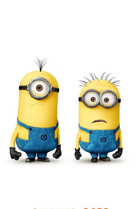 Two confused minions Despicable Me 2, Summer Movie, Movies Worth Watching, Steve Carell, Miranda Cosgrove, Beach Boys, Top Movies, Universal Pictures, Despicable Me