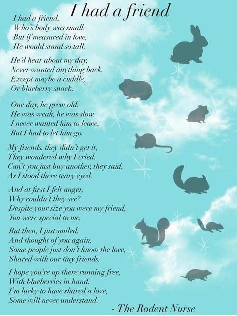 Hamster Memorial, Losing A Pet Quotes, Bunny Memorial, Languages Learning, Pet Poems, Dog Emotions, Bunny Quotes, Pet Quotes, Lost Quotes