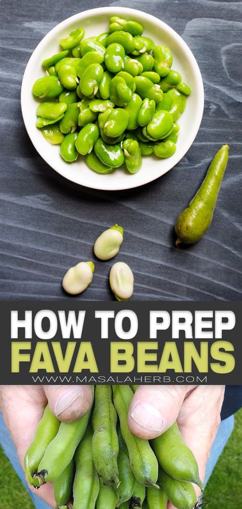 Fresh Fava Bean Recipe, Broad Bean Recipes, Fava Beans Recipes, Healthy Lunches For Work, Fancy Dinner Recipes, Broad Beans, Meat Free Recipes, Broad Bean, Fava Beans