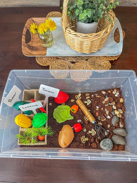 𝔻𝕖𝕧𝕖𝕝𝕠𝕡𝕞𝕖𝕟𝕥 𝔹𝕚𝕟 • 🍅🥬🌽🥕🥔👩‍🌾 First day of summer sensory bin. Gardening. Base is instant coffee. Instagram/Facebook : developmentalbins • • • • • • • • • #sensoryplay #montessori #learningthroughplay #montessoriathome #sensoryplayideas #playbasedlearning #toddleractivities #earlylearning #invitationtoplay #easter #kidsactivities #sensory #play #finemotorskills #sensorybin #kids #sensoryactivity #messyplay #preschoolactivities #playideas #playmatters #playathome #toddlermomlife Food Play Sensory, Play Food Sensory Bin, Taste Safe Sensory Bin Ideas, Farmers Market Sensory Bin, Nutrition Sensory Bin, Coffee Sensory Bin, Gardening Sensory Bin, Summer Sensory Bin, Garden Sensory Bin