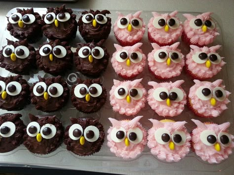 Owl cupcakes Owl Cupcake Cake, Tårta Design, Glutenfri Baking, Dessert Halloween, Owl Cakes, Owl Cupcakes, Decorated Cupcakes, Owl Cake, Owl Party