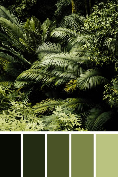 This green earth tone palette features a dense, lush jungle with various shades of green, highlighting the diverse foliage and natural beauty of tropical plants. Jungle Green Colour Palette, Natural Green Colour Palette, Tropical Forest Color Palette, Jungle Green Color Palette, Monochrome Color Scheme, Jungle Colour Palette, Green Shades Colour Palettes, Tropical Colour Palette, Jungle Color Palette