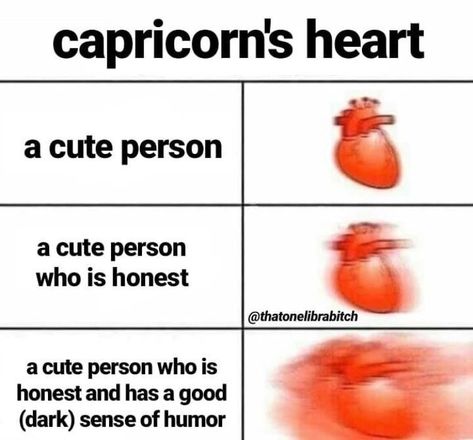 Capricorn Meme, Numerology Horoscope, Capricorn Aesthetic, Astrology Capricorn, Capricorn Love, Capricorn Life, Capricorn Traits, Horoscope Capricorn, Capricorn Facts