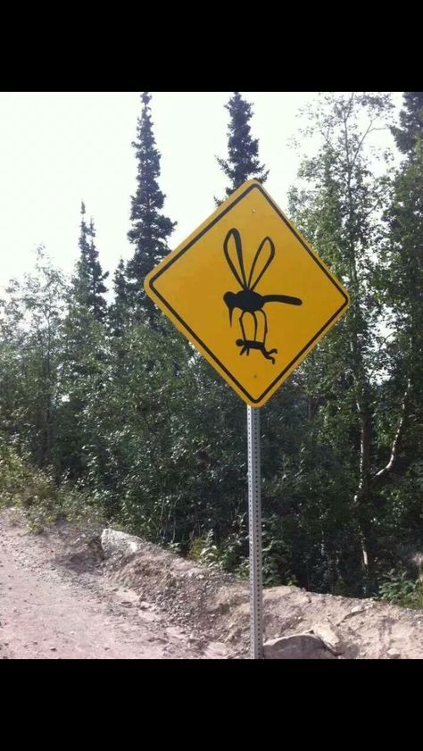 Adirondack Black Fly sign. Funny, but I think this is a picture of a mosquito. Funny P, State Birds, The Older I Get, Funny Signs, Image Hd, Bones Funny, Meme Pictures, Wisconsin, Alaska