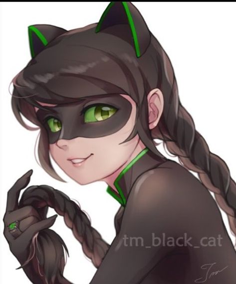 Ladynoir Fanart, Lion King Images, Single Braid, Ladybug Art, Rwby Fanart, Rwby Anime, Marinette Dupain Cheng, Miraculous Characters, Super Cat