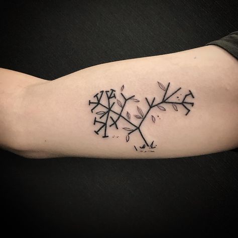 David Ransom on Instagram: “Darwin’s tree of life.  Time next week 👉➕📩 info@ransomtattoo.com #tattoo #brisbanetattoo #brisbanetattooist  #westend #westsidetattoo…” Darwin Tree Of Life Tattoo, Biology Tattoos, Darwin Tattoo, Westside Tattoo, Darwin Tree Of Life, Biology Tattoo, Brisbane Tattoo, Tree Of, Tree Of Life Tattoo