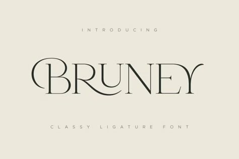 35+ Best Luxury & Elegant Fonts in 2023 (Free & Pro) | Design Shack Font Love, Alfabet Font, Font Branding, Mises En Page Design Graphique, Unique Logos, Classy Fonts, Feminine Fonts, Unique Font, Business Fonts